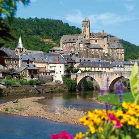 T 2 Dans Village Vacances 3 *** A Saint Geniez 2 Piscines Chauffee Pierrefiche  Exterior foto